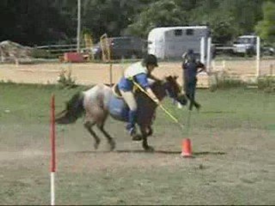 Cadet1_5drapeaux
