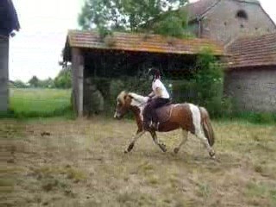 Nelly en saut!!