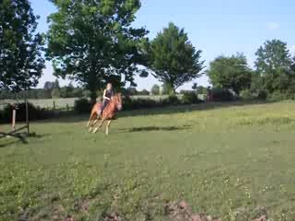 Cha et moi 1M