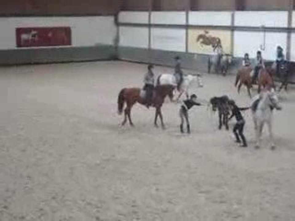 Jeux a poney