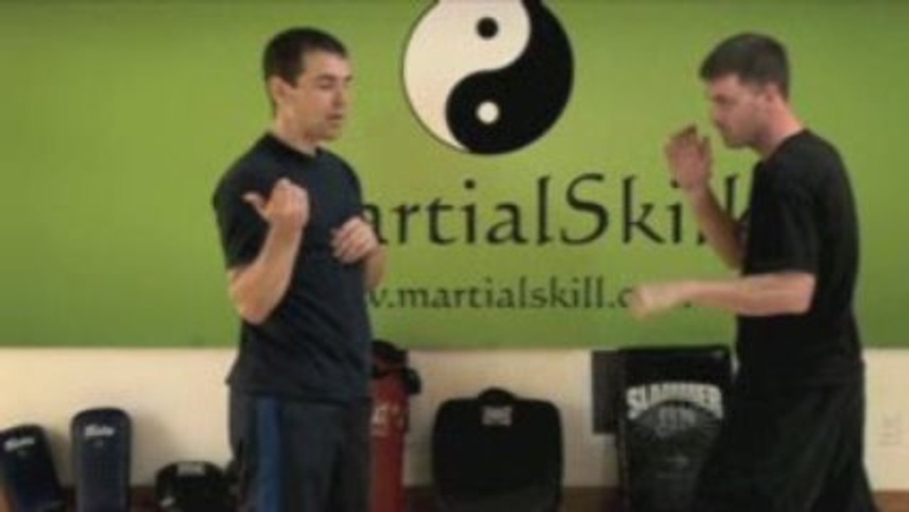 7 Star Mantis Kung Fu: Jabs