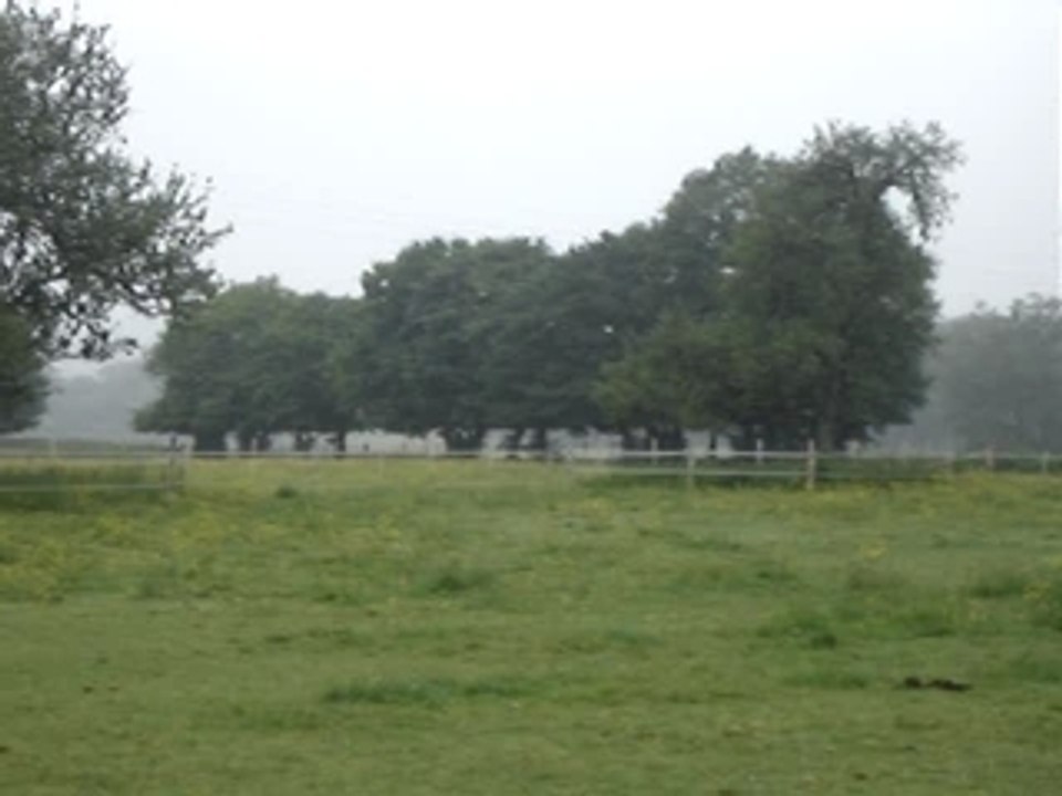 MOV05451