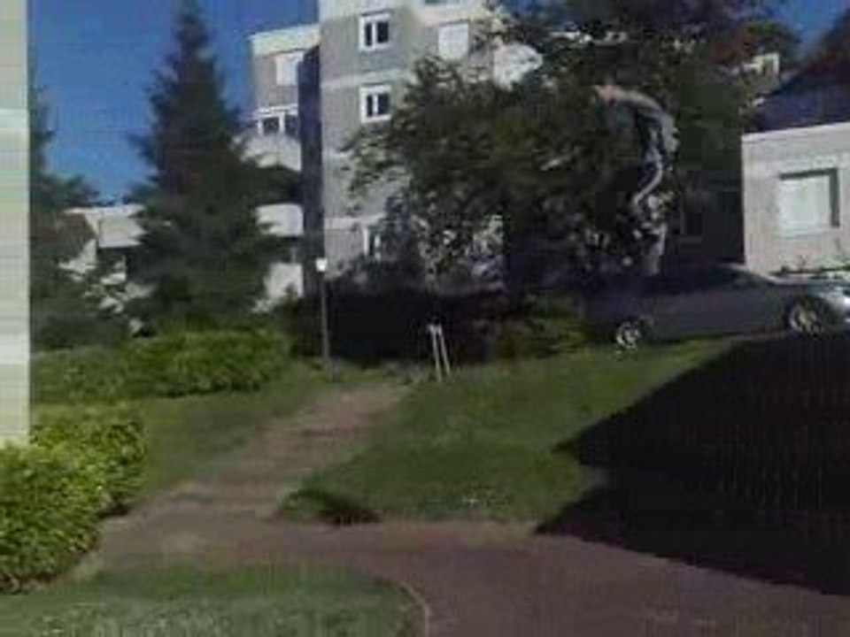 saut