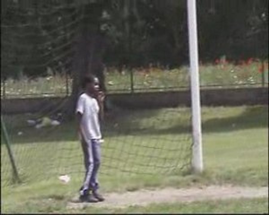 L'OISEAU PASTEUR  GOUDRON  06 75 04 35 36