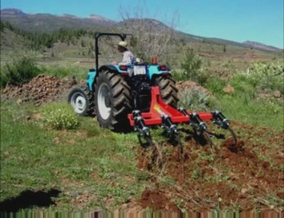 Partido PSD Cocula Jalisco