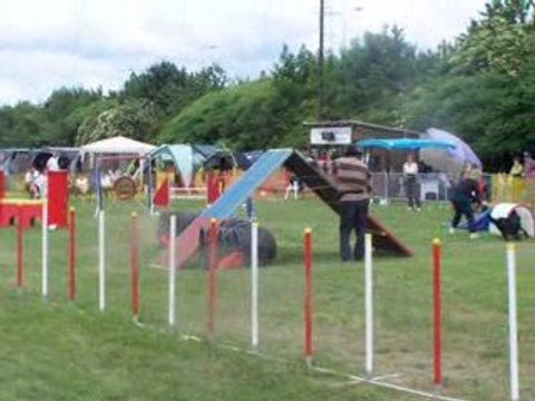 Concours mondelange 015