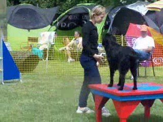 Concours mondelange 016