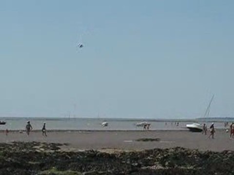 La Bernerie en Retz : cerf volant