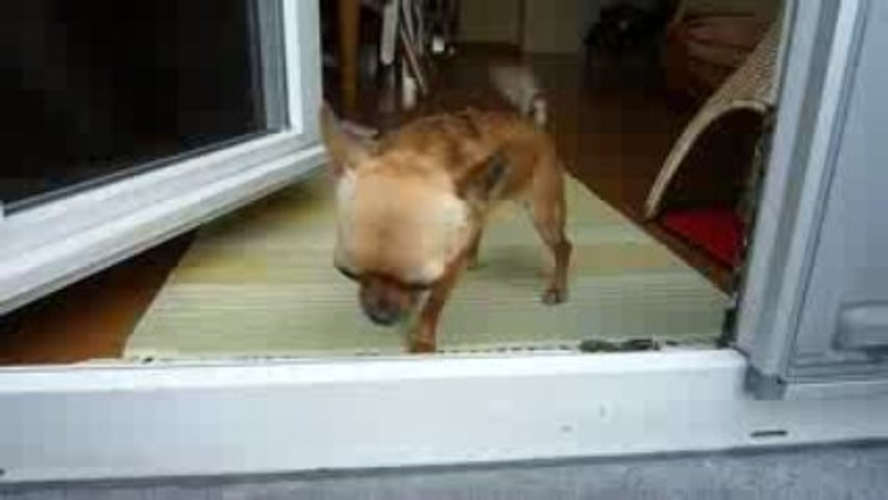 lola
