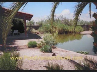 Koi Ponds Vacuum