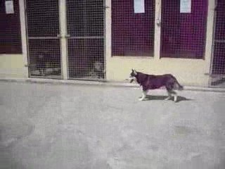 Winnie & Paloma enfin dehors en notre présence !