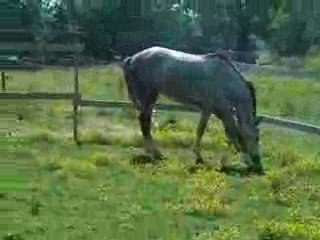 Playmate du relevant