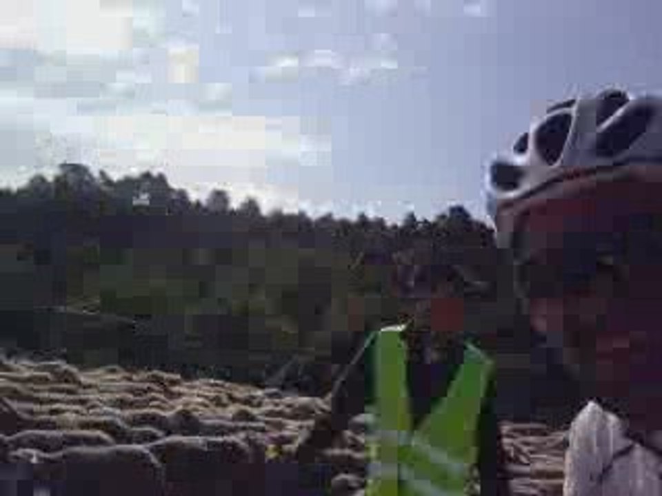 papy et les moutons du verdon