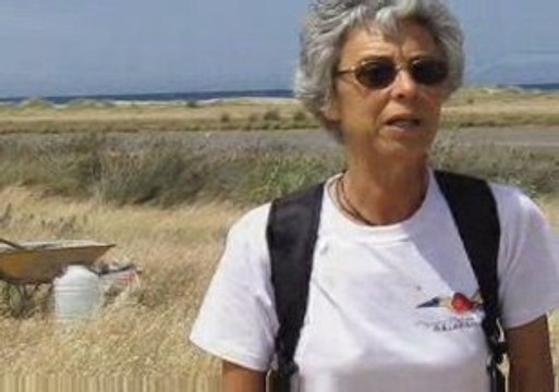 Playas Virgenes de Cádiz