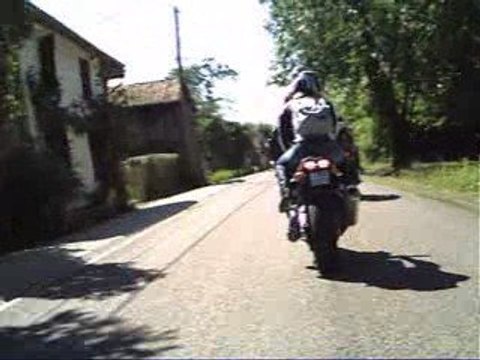 Rallye du cochon de montier en der 2009