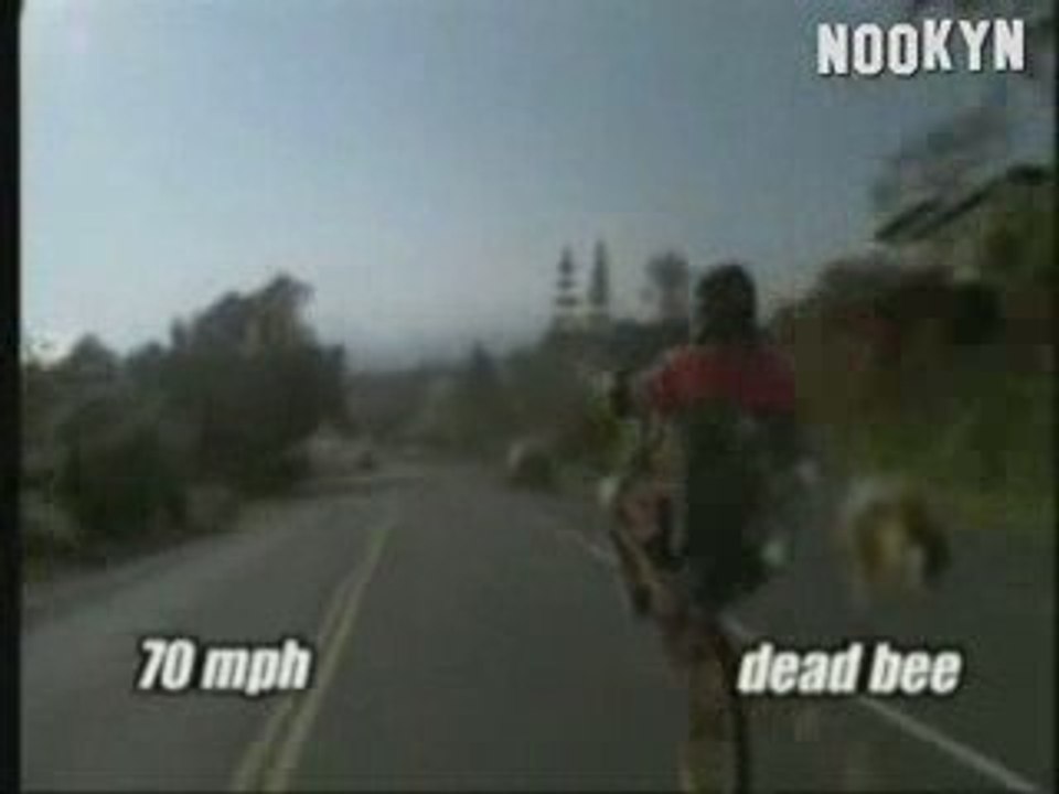 Adrenalin rush