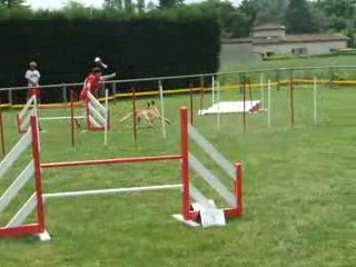 (Arlette) agility 2 trophée