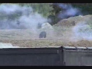 Bear Scared off with Bear Attack Deterrents