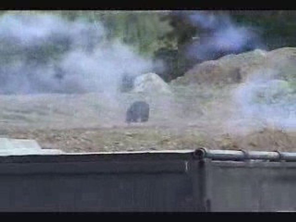 Bear Scared off with Bear Attack Deterrents