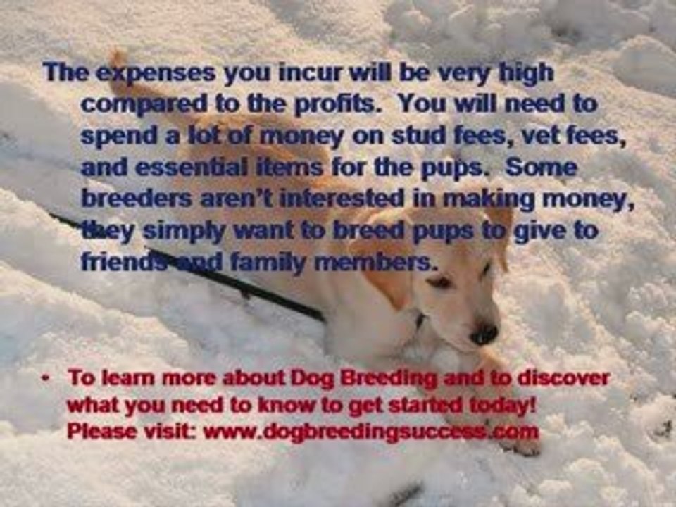 Dog Breeding - Encountering Problems