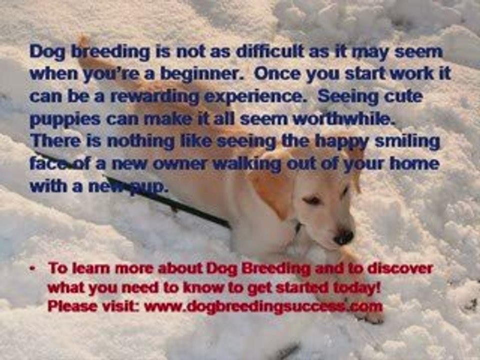Dog Breeding - For Newbies