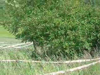 Rallye jean de la fontaine 2009