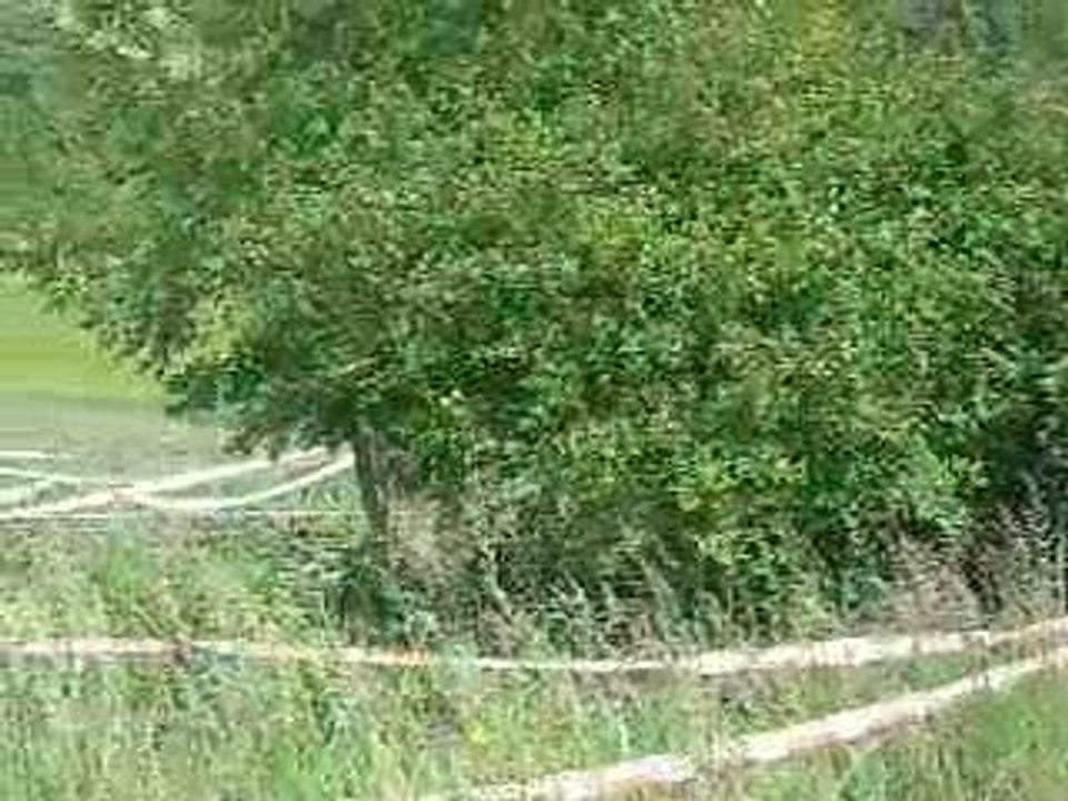 Rallye jean de la fontaine 2009