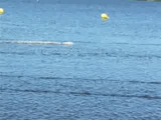 H 2S PY Priziac 2009