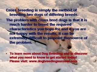 Dog Breeding - Methods