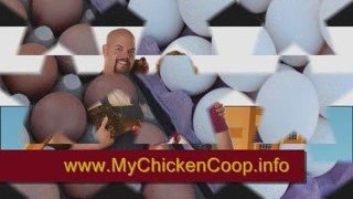 Chicken Coops Made Easy