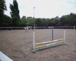 poney saut d'obstacle