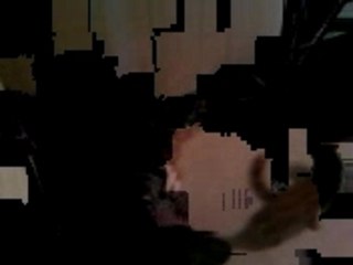 mes chats ki se bagare