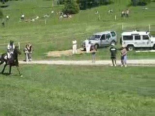 CCI** Bonvaux 2009, oxer naturel