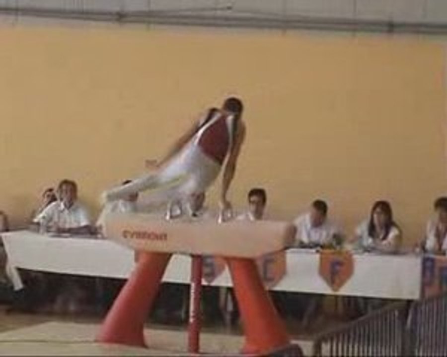 GG arcons 2009