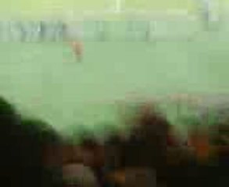 Psg-nancy 1er but hoarau