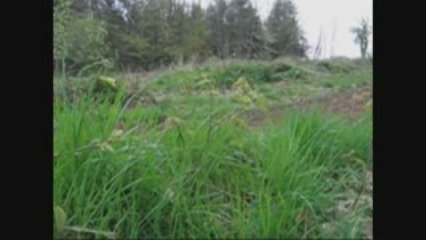 Motocross Grum's Mx Bretagne.com