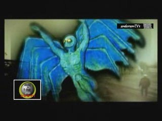 Le Mothman une histoire vraie