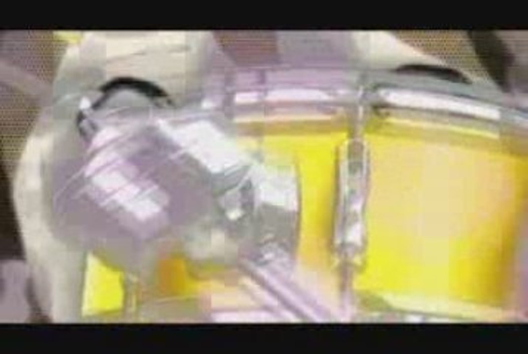 Amv Mangas [E.C.D.T]