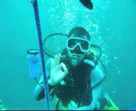 Plongée à Bouillante