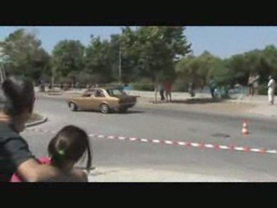 VIIIPVV2009_Pericia