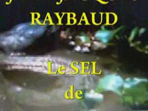 JEAN-JACQUES RAYBAUD : Le SEL DE CAYENNE 5