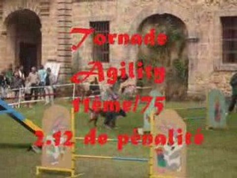 Selectif GPF agility Chateaudouble 17 mai 2009