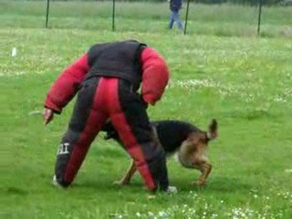 Entrainement du 31mai09 042