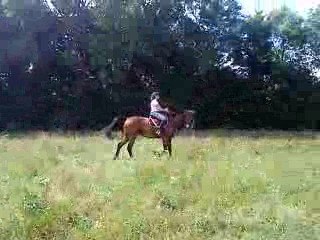 Dressage Icare + Cloé