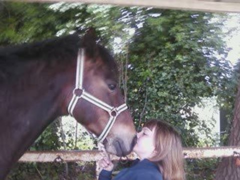 Le centre équestre d'avignon