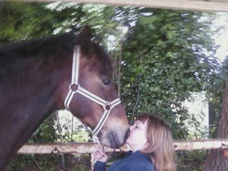 Le centre équestre d'avignon