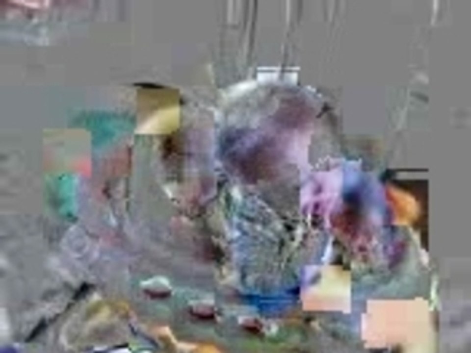 Lucas en colère dn le youpala