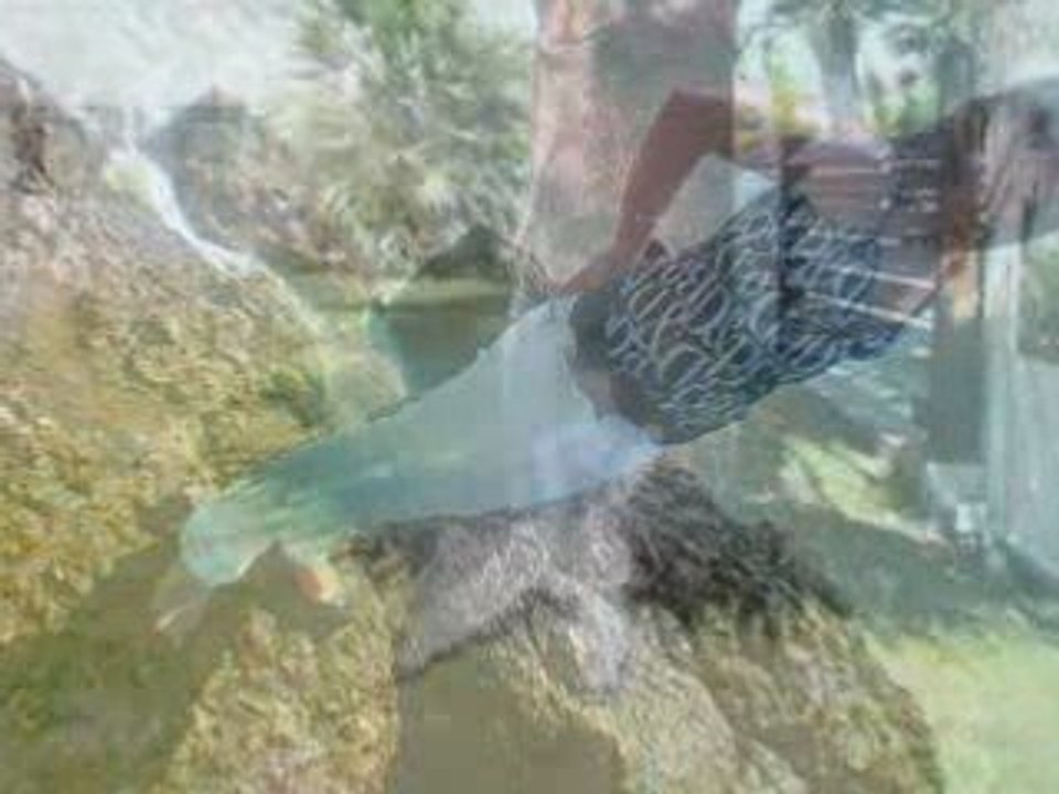 Justine compte sur vous.