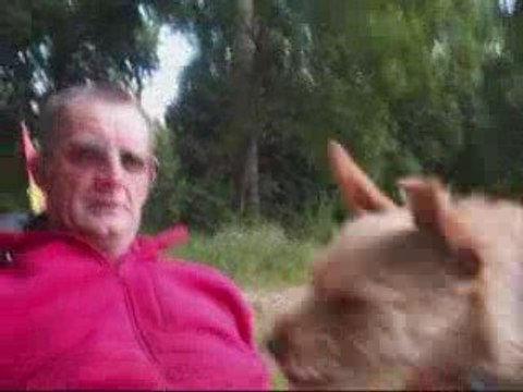 Mon chien adore faire du vélo!!