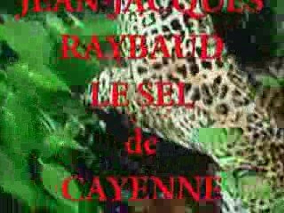 JEAN-JACQUES RAYBAUD : Le SEL DE CAYENNE  6